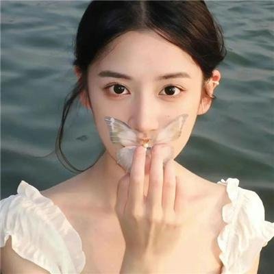守法公民